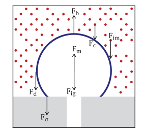 شکل 1- نیروهای احتمالی دخیل در حباب تولیدی در پورس پلاگ: شناوری (Fb)، کشش سطحی (Fσ)، اینرسی حباب (شکل)، کشش مایع (Fd)، تکانه گاز (Fm)، اینرسی تعلیق (Fim)، و برخورد ذره-حباب (Fc).
