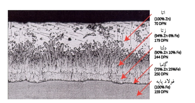 شکل 4. فتومیکروگراف از سطح مقطع پوشش فولاد گالوانیزه